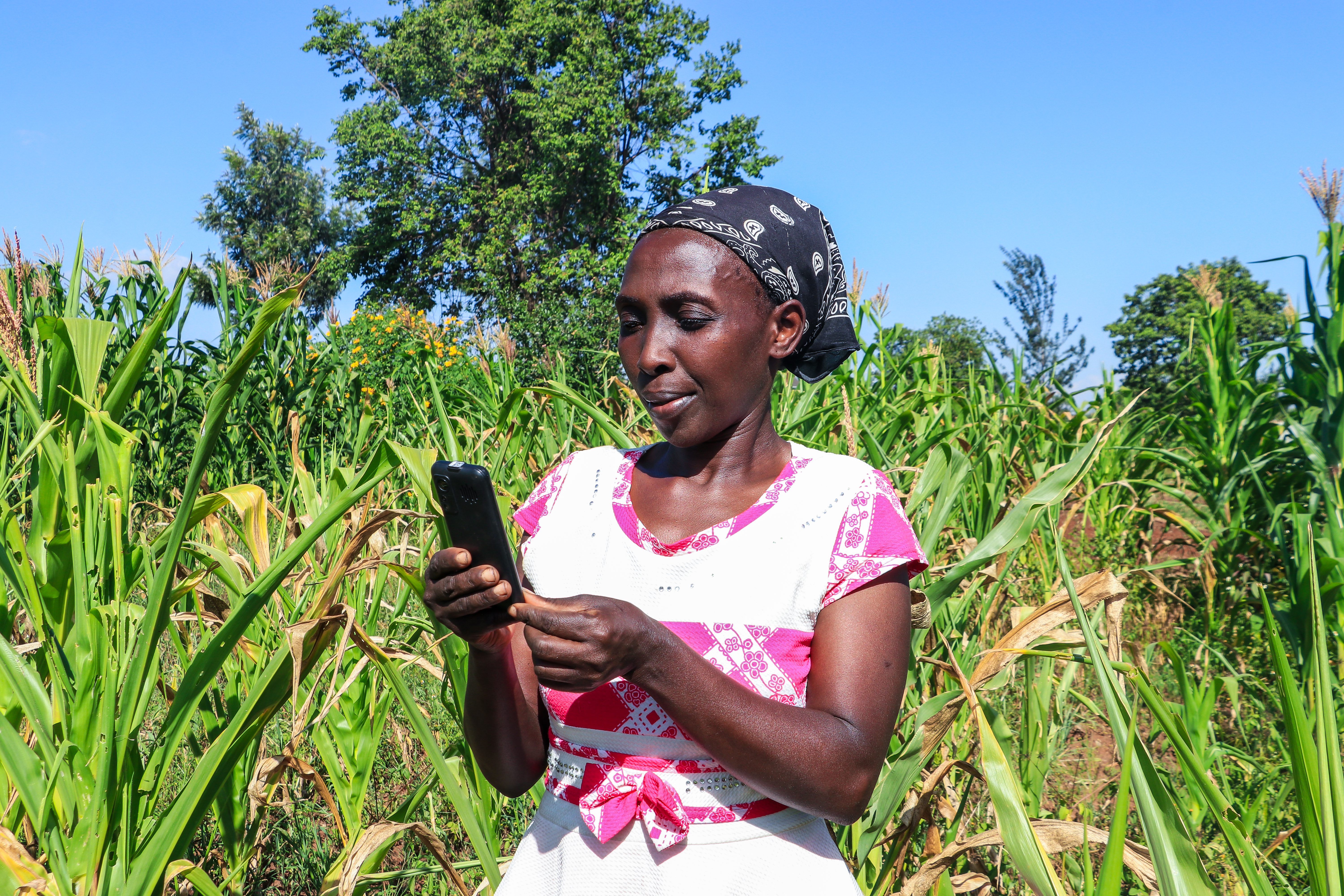CropScan device in farm