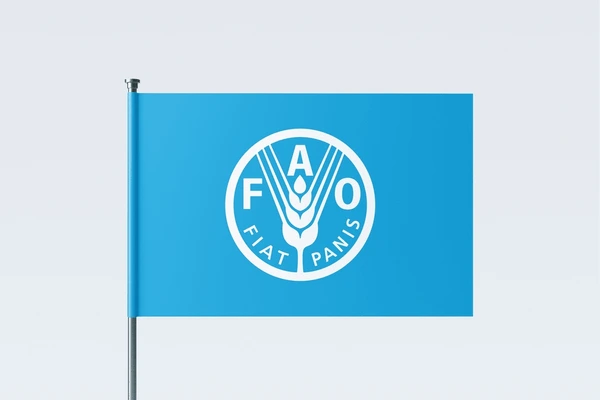 FAO
